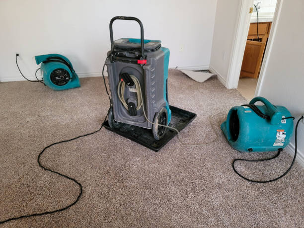 Best Water damage cleanup near me  in Sunnyside, WA