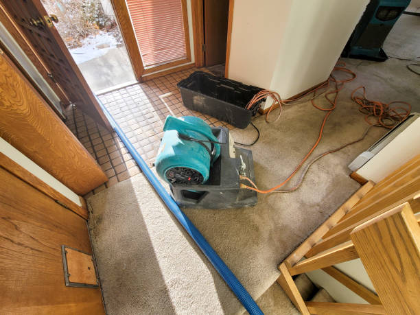 Best Mold removal after water damage  in Sunnyside, WA